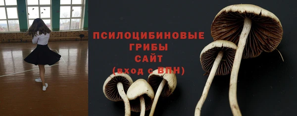 a pvp Алзамай