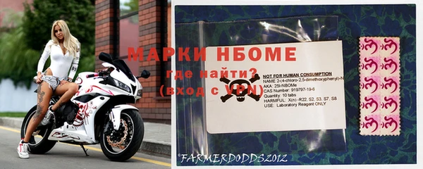 a pvp Алзамай