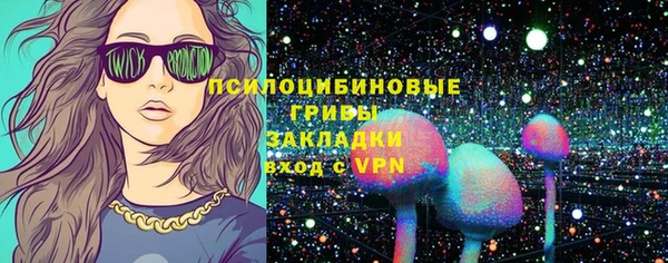 гашик Алексеевка