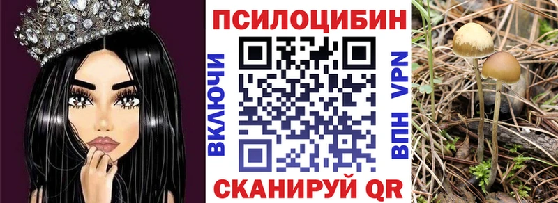 Галлюциногенные грибы Magic Shrooms  цена наркотик  Качканар 